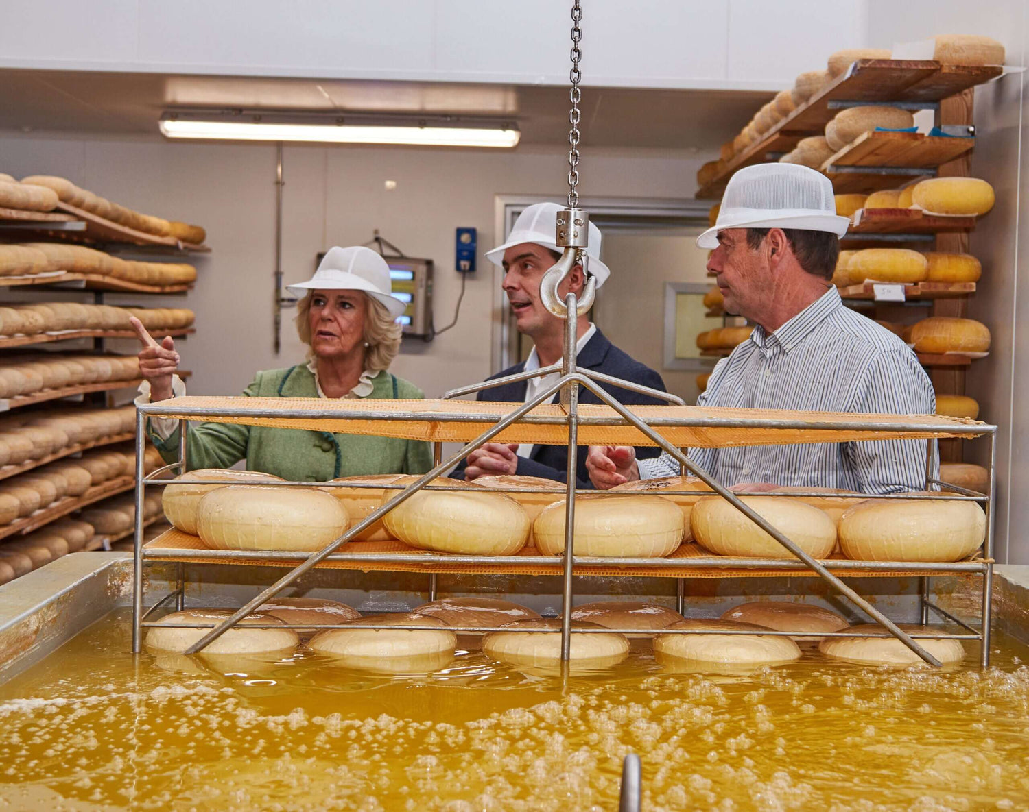 Cheese tours