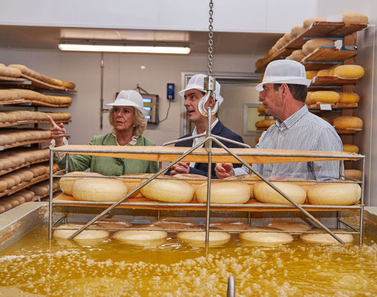 Cheese tours