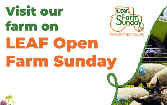 Leaf Open Farm Sunday